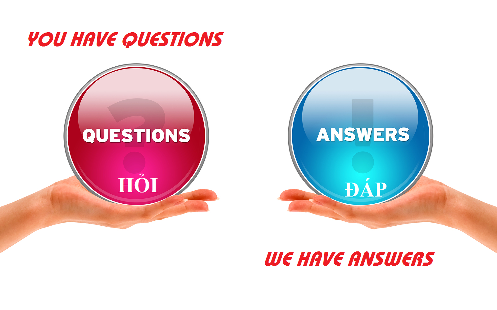 Question and Answer Copy
